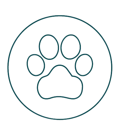 Pet Care